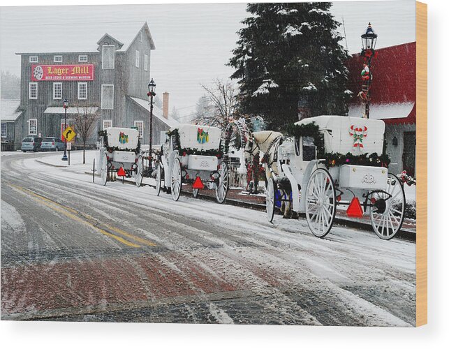 Frankenmuth Wood Print featuring the photograph Carriage Ride by Janice Adomeit