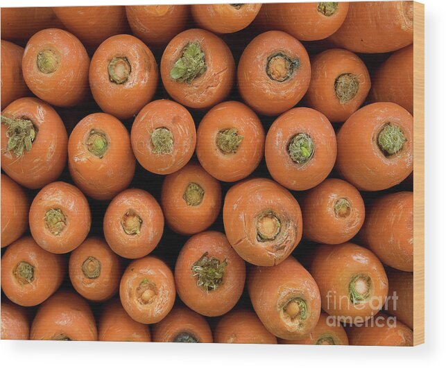 Carrot Wood Print featuring the photograph Carrots by Rick Piper Photography