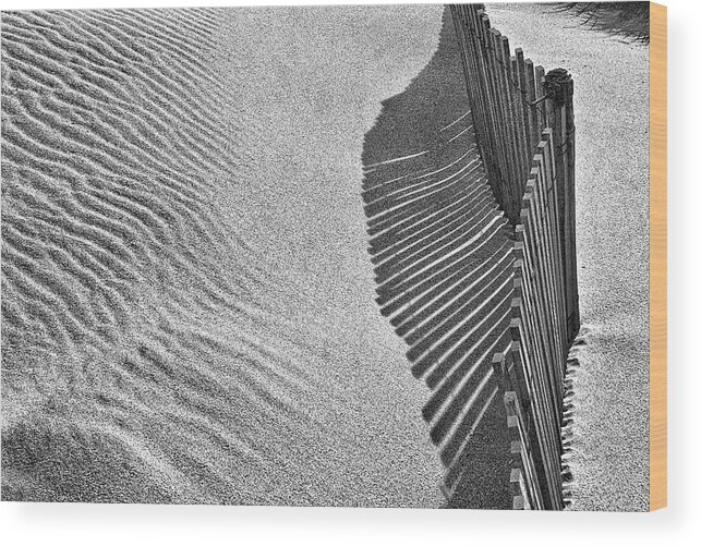 Beach Wood Print featuring the photograph Castles In The Sand by Paulo Abrantes