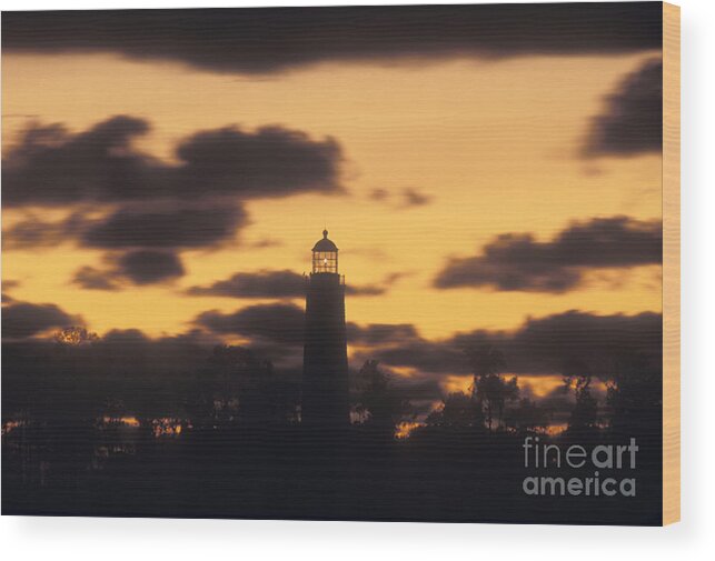 Chantry Wood Print featuring the photograph Chantry Island Lighthouse - FS000819 by Daniel Dempster