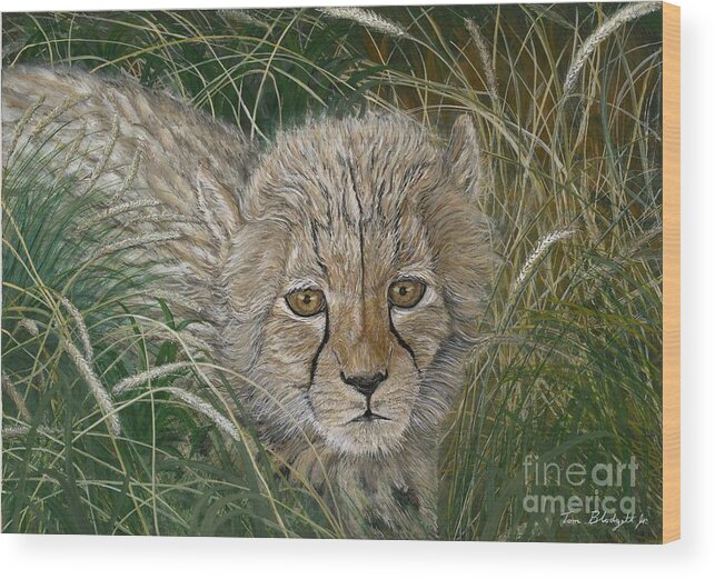 Cheetah Cub Wood Print featuring the painting Cheetah Cub by Tom Blodgett Jr