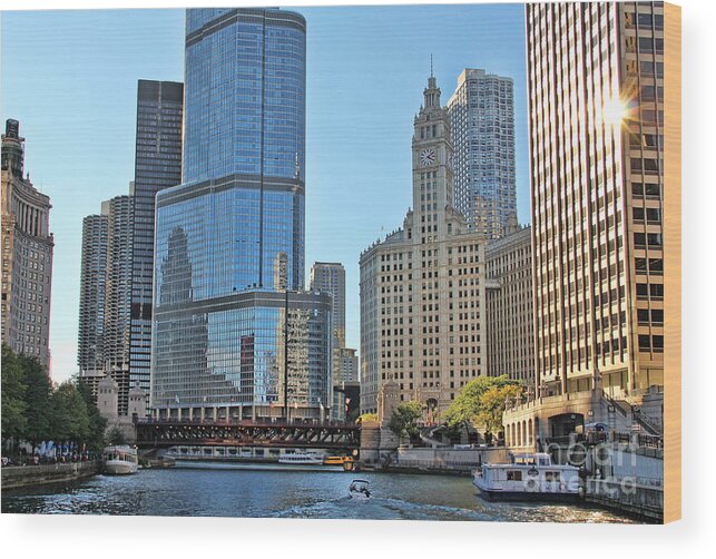 Chicago Wood Print featuring the photograph Chicago River Reflections 9594 by Jack Schultz