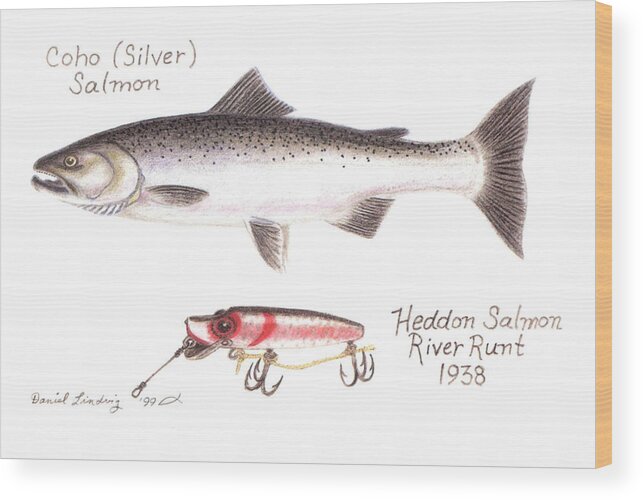 Coho or Silver Salmon and Heddon River Runt Lure 1938 Wood Print by Daniel  Lindvig - Fine Art America