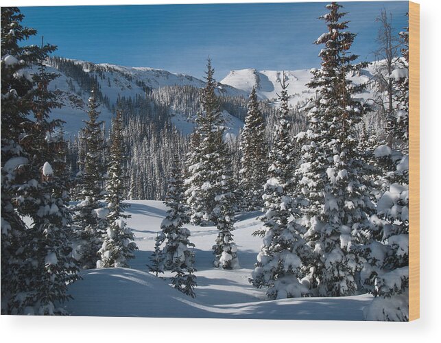 Colorado Wood Print featuring the photograph Colorado Winter Landscape by Cascade Colors