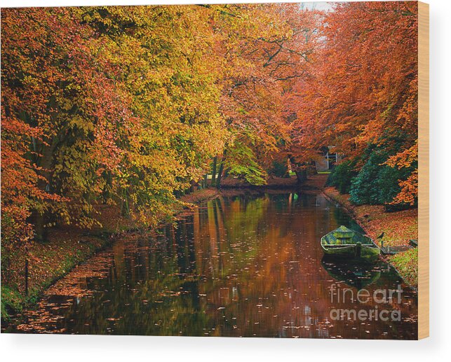 Colorful Wood Print featuring the photograph Colorful Forest by Boon Mee