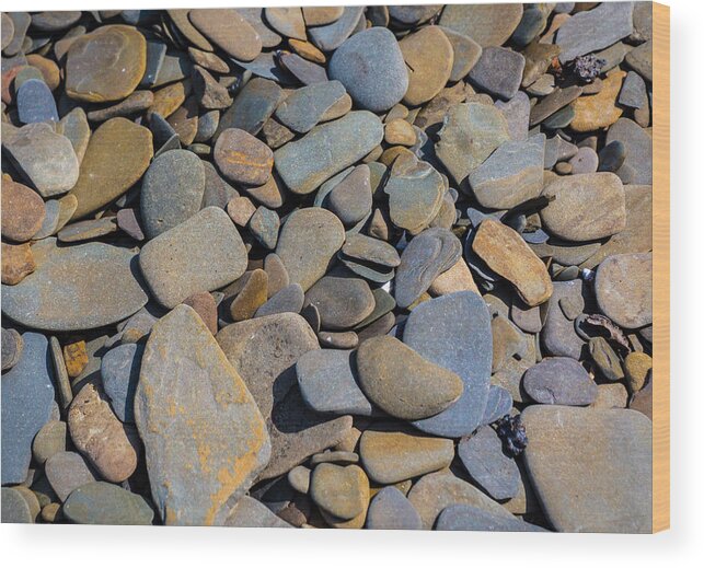 Stones Wood Print featuring the photograph Colorful River Rocks by Photographic Arts And Design Studio