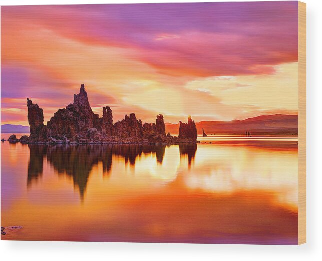 Mono Lake Wood Print featuring the photograph Colors by Midori Chan