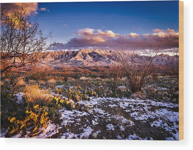 Arizona Wood Print featuring the photograph Colors Of Winter by Mark Myhaver
