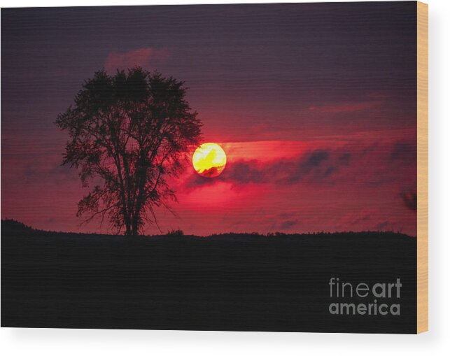 Sunsets Wood Print featuring the photograph Could be in Africa by Cheryl Baxter