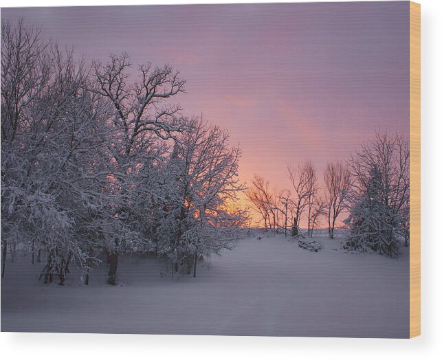 Snow Wood Print featuring the photograph Country Sunset - Farm in Winter by Nikolyn McDonald