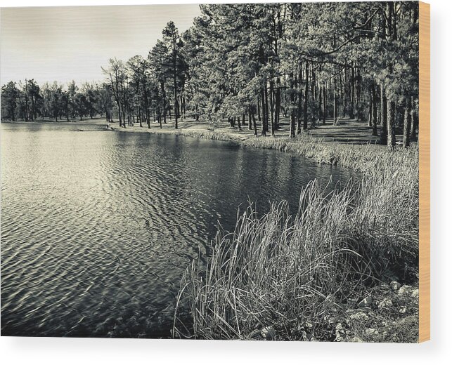 Cove Wood Print featuring the photograph Cove by Greg Jackson