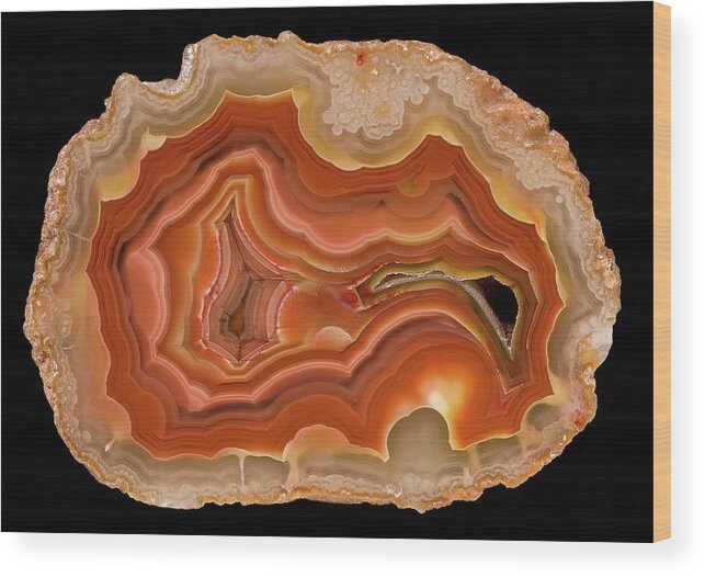 Coyamito Agate Wood Print featuring the photograph Coyamito Agate by Natural History Museum, London/science Photo Library