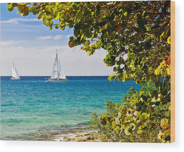 Cozumel Wood Print featuring the photograph Cozumel Sailboats by Mitchell R Grosky
