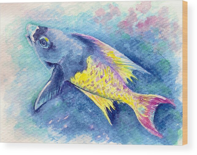 Fish Paintings Wood Print featuring the painting Creole Wrasse by Ashley Kujan