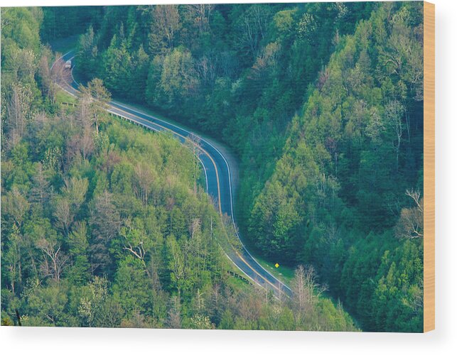 Landscape Wood Print featuring the photograph Curves by Paul Johnson 