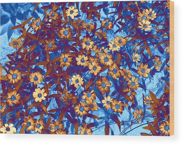 Art. Fine Art Wood Print featuring the digital art Daisies of Altered Color by Linda Phelps