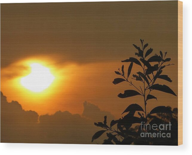 Sunset Wood Print featuring the photograph Day's Done My Sun by Marguerita Tan