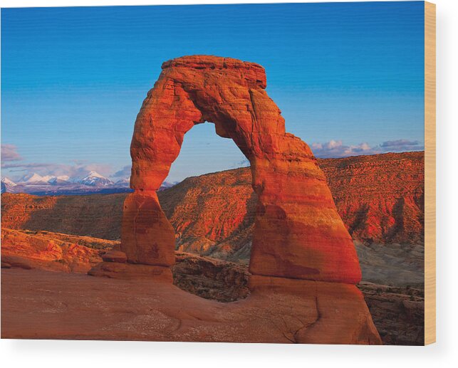 Rocks Wood Print featuring the photograph Delicate Arch by Darren Bradley