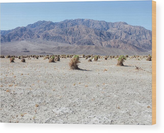 Tranquility Wood Print featuring the photograph Devils Cornfield, Death Valley by Tuan Tran