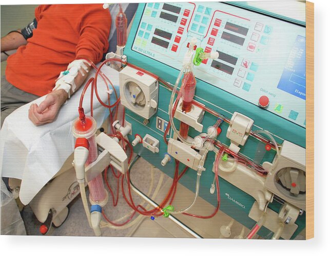 Human Wood Print featuring the photograph Dialysis Machine by Aj Photo/science Photo Library