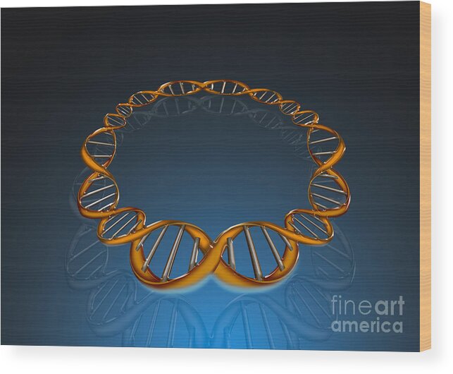 Dna Wood Print featuring the photograph Dna Circle by Mike Agliolo