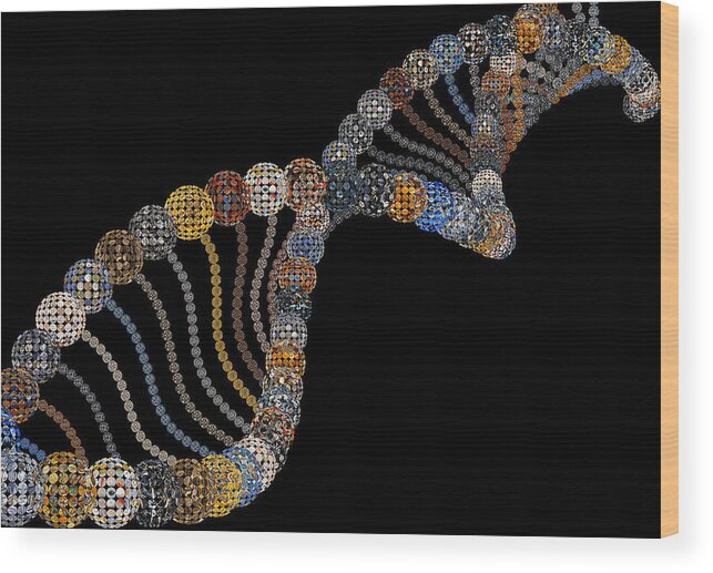 Dna Wood Print featuring the photograph DNA by Fine Art Photography