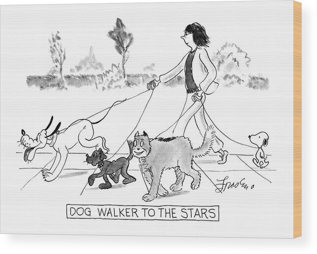 Pets Wood Print featuring the drawing Dog Walker To The Stars by Edward Frascino