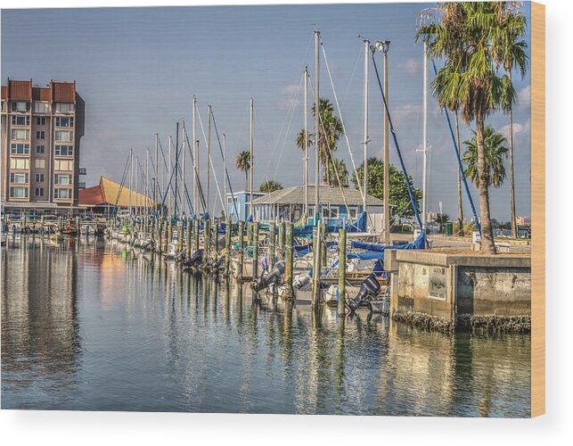 Dunedin Wood Print featuring the photograph Dunedin Marina by Jane Luxton