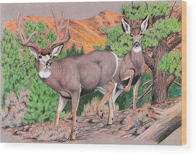 Mule Deer Wood Print featuring the painting Early Morning Retreat by Darcy Tate