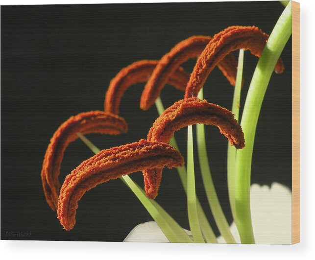 Floral Wood Print featuring the photograph Easter Lily Detail by Deborah Smith