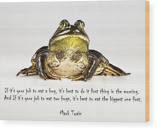 Frog Wood Print featuring the photograph Eat Frog by John Crothers