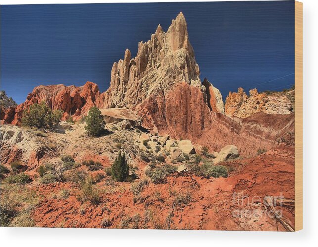 Escalante National Monument Wood Print featuring the photograph Escalante Rainbows by Adam Jewell
