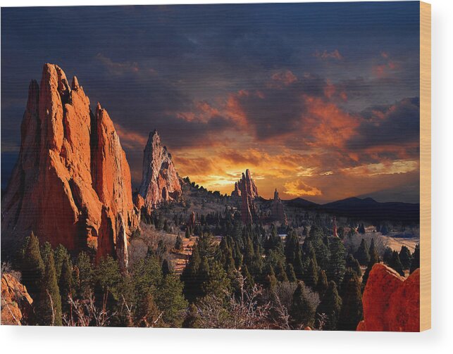 Altitude Wood Print featuring the photograph Evening Light at the Garden by John Hoffman