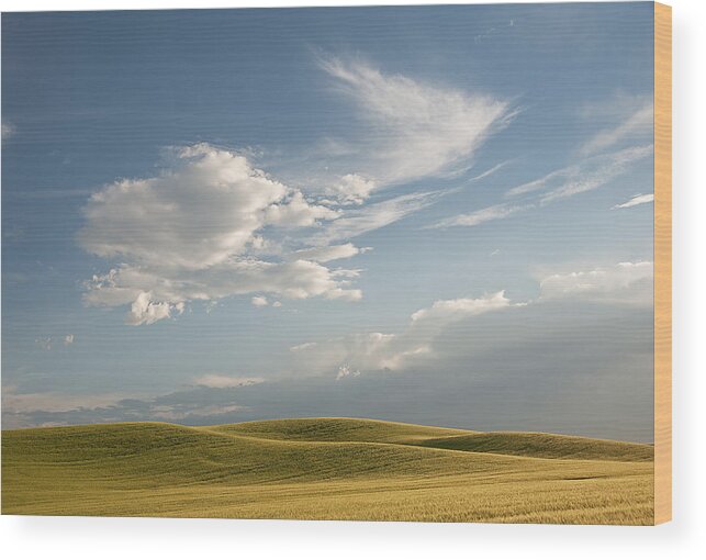 Palouse Wood Print featuring the Evening Shadows by Doug Davidson