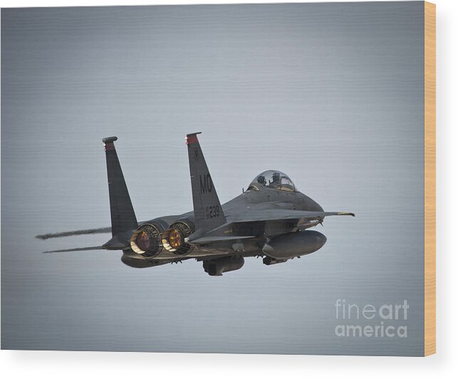 99th Air Base Wing Wood Print featuring the photograph F-15 Strike Fighter by Action
