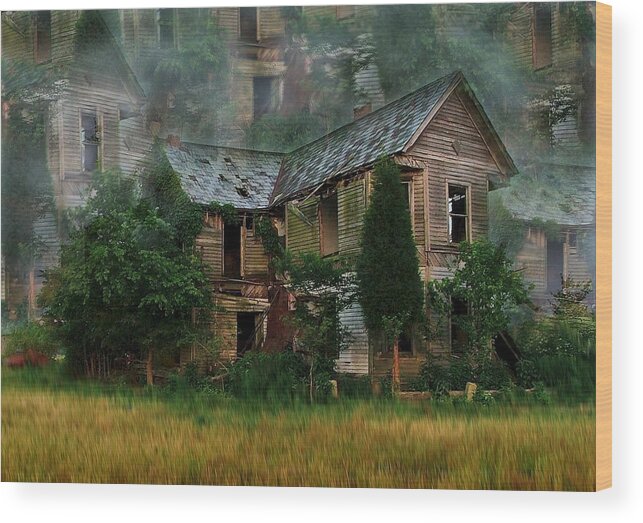 Abandoned House Wood Print featuring the photograph Faded Dreams by Julie Dant