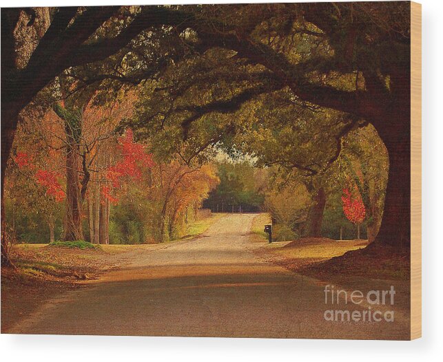 Fall Wood Print featuring the photograph Fall Along A Country Road by Kathy Baccari