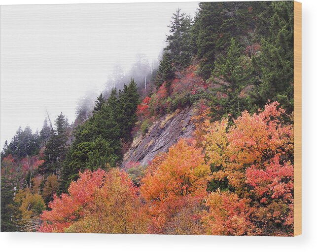 Landscapes Wood Print featuring the photograph Fall Along the Parkway by Duane McCullough
