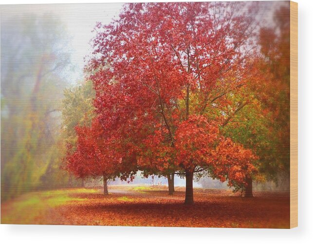 California Trees Wood Print featuring the photograph Fall Colored Trees by Marilyn MacCrakin