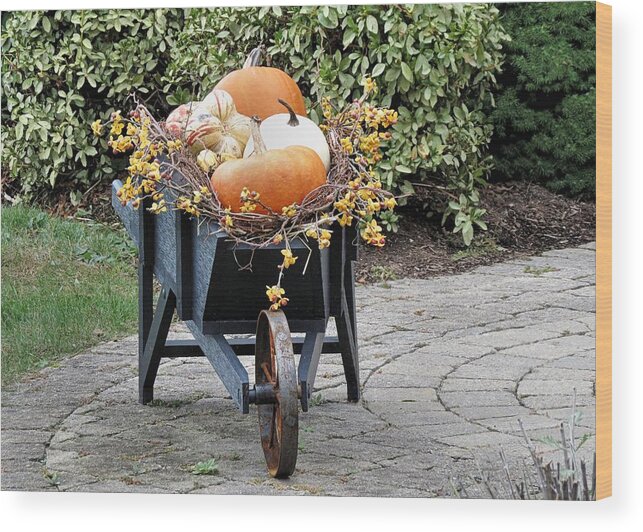 Wheelbarrow Wood Print featuring the photograph Fall Decorated Wheelbarrow by Janice Drew