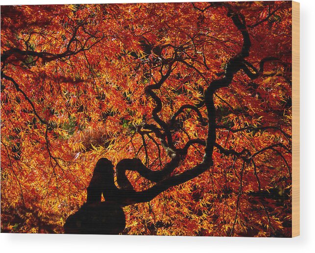 Fall Colors Wood Print featuring the photograph Fally glory by Kunal Mehra