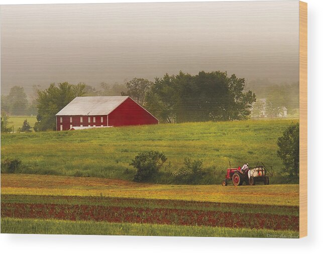 Savad Wood Print featuring the photograph Farm - Farmer - Tilling the fields by Mike Savad
