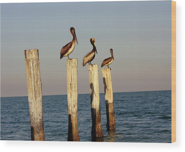 Florida Wood Print featuring the photograph Fashionably Late by Andrea Platt