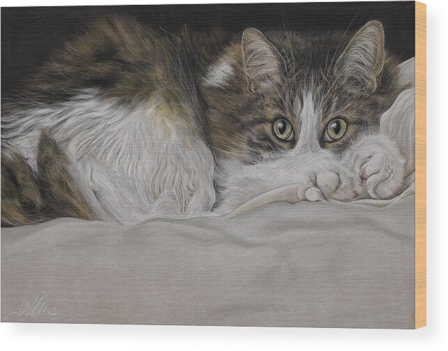 Cat Wood Print featuring the painting Feline Eyes by Terry Kirkland Cook