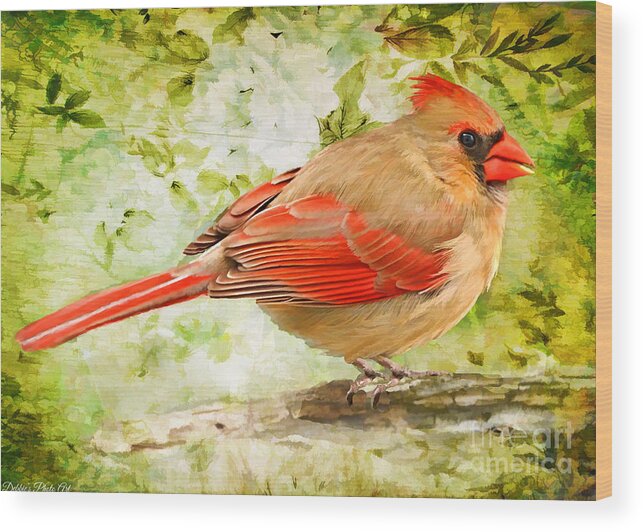 Nature Wood Print featuring the photograph Female Cardinal - Digital Paint by Debbie Portwood