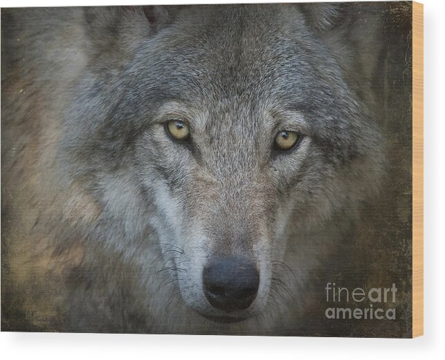 Festblues Wood Print featuring the photograph Fenris... by Nina Stavlund