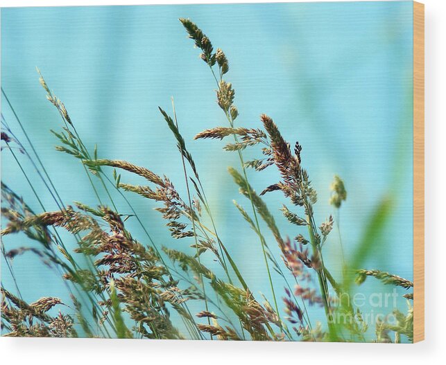 Grass Wood Print featuring the photograph Grass by Nina Ficur Feenan