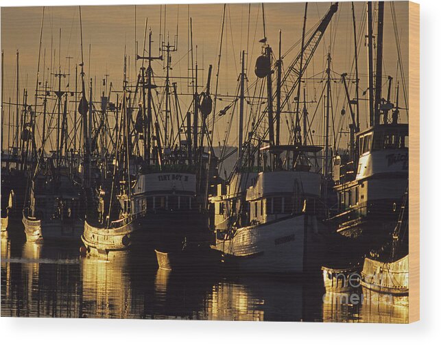 Travel Wood Print featuring the photograph Fishing Boats at Sunset by Jim Corwin