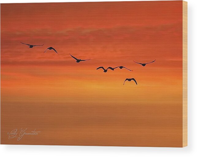 Birds Wood Print featuring the photograph Flying South by Cindy Greenstein