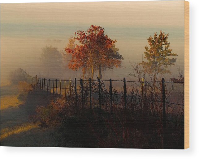Trees Wood Print featuring the photograph Foggy Field in the Morning by Shannon Story